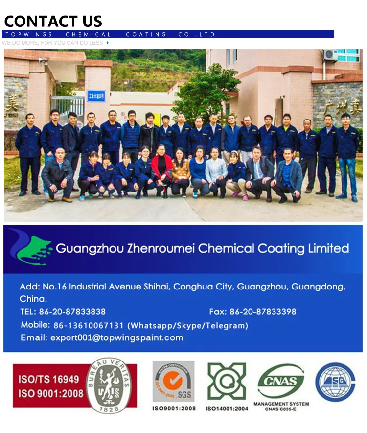 Automotive Painting Auto Paint Scratch Repair Lacquer