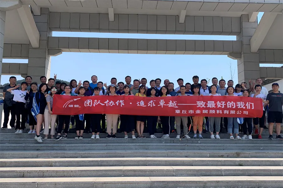 Automotive Speciality Aluminium Paste for Coil and Plastic