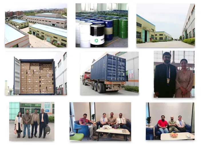 Car Paint Factory Economy Good Price High Gloss Lacquer High Solid Clear Coat Rapid Cure Clear Coat