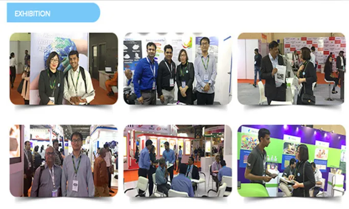 China Chemem Iron Oxide Yellow 313 Pigment for Coating