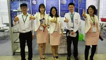 China Chemem Iron Oxide Yellow 313 Pigment for Coating