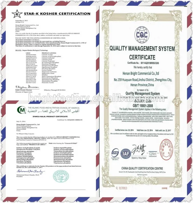 China Chemem Iron Oxide Yellow 313 Pigment for Coating