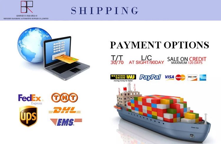 China Manufacturer Supplies High Luster Binder