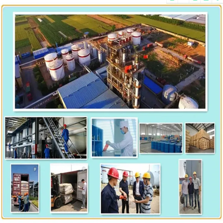 Factory Supply Iron Oxide Red Black Pigment Powder with Best Price