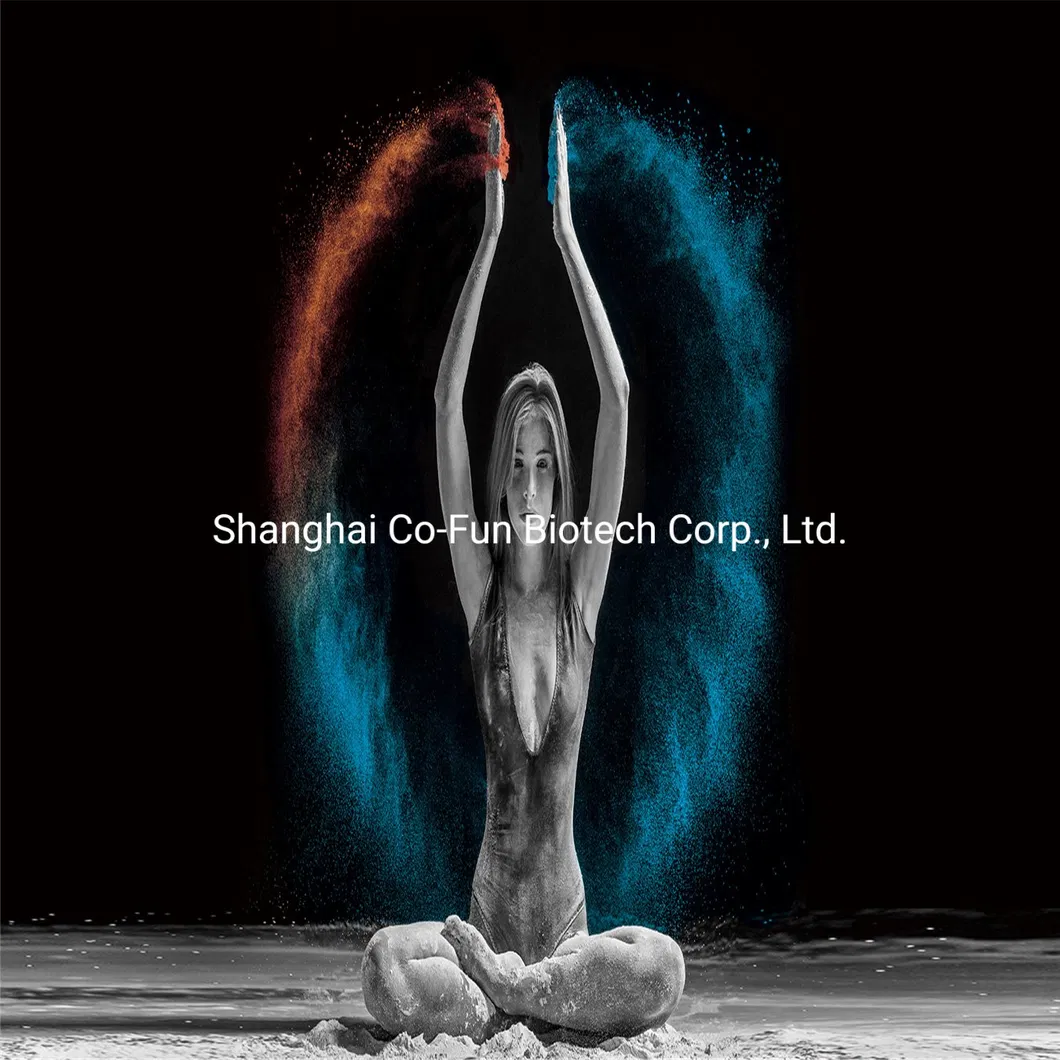 First Class Color Pigment Red Iron Oxide CAS 1309-37-1