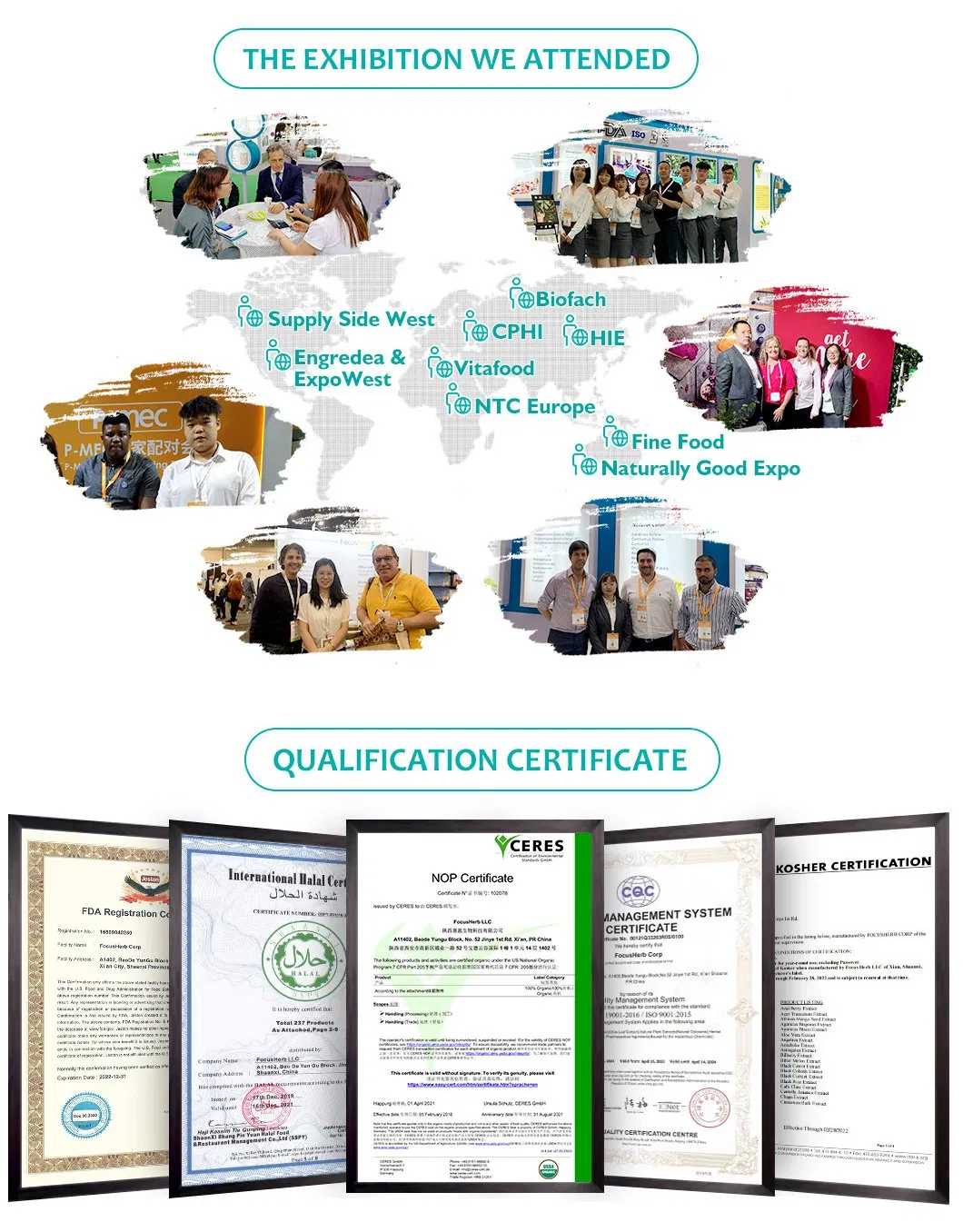 Focusherb Natural Inorganic Pigment Bamboo Extract E153 Vegetable Carbonblack