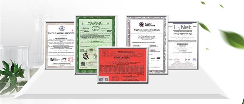 Food Grade Black Pigment Vegetable Carbon Black Powder