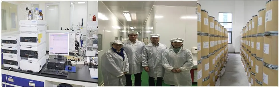 Food Grade Black Pigment Vegetable Carbon Black Powder