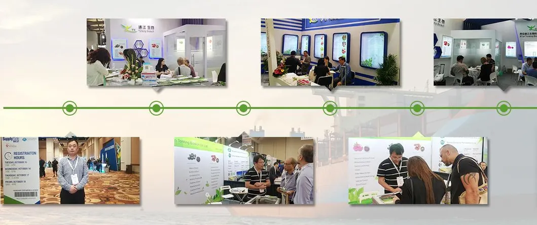 Food Grade Black Pigment Vegetable Carbon Black Powder