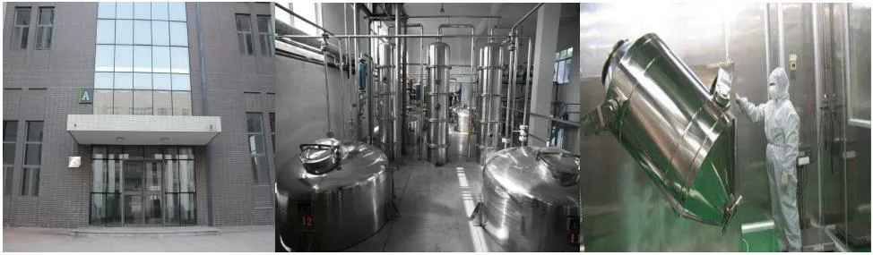 Food Grade Black Pigment Vegetable Carbon Black Powder