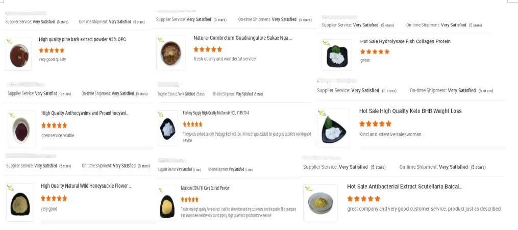 Food Grade Black Pigment Vegetable Carbon Black Powder