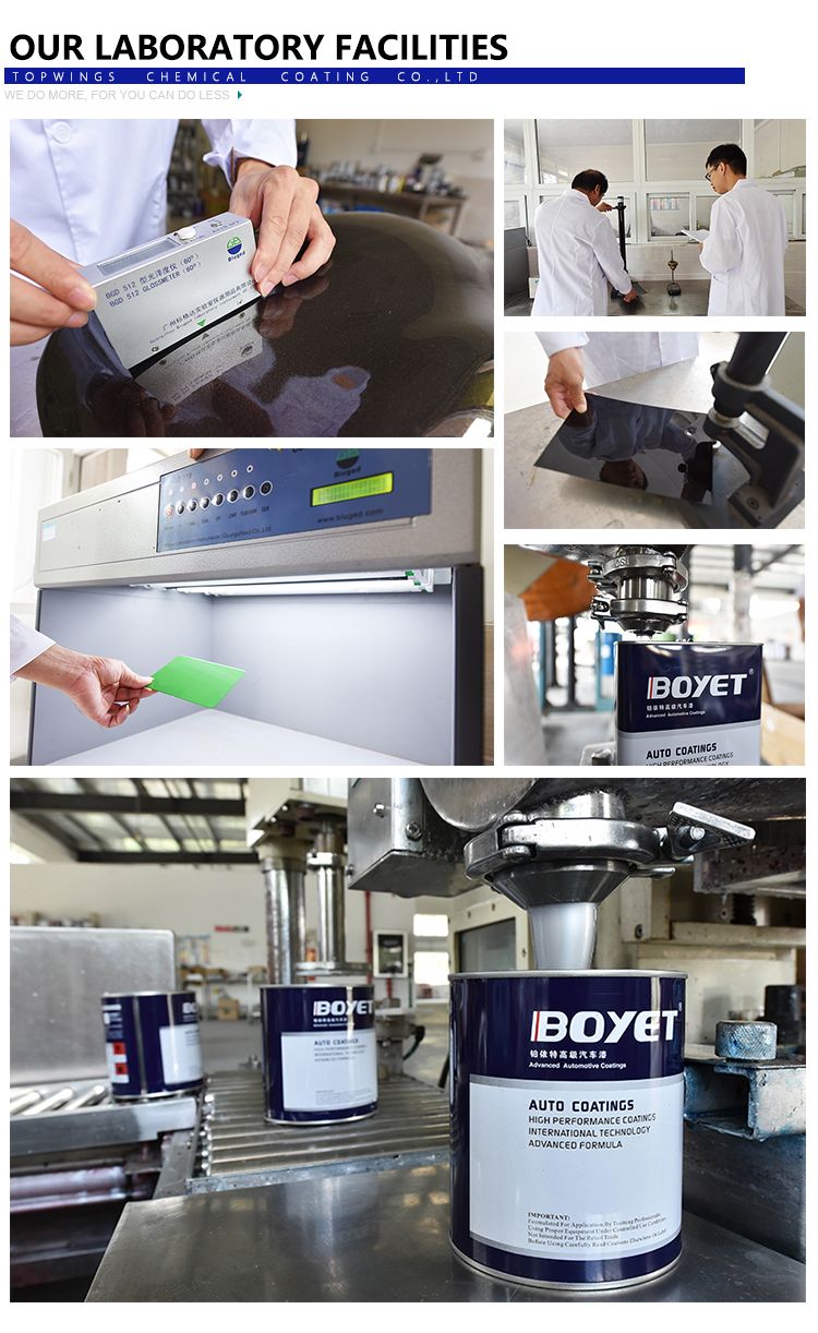 Goodsif Automotive Paint Nc Putty for Body Filler