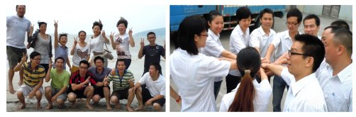 High Luster Nano Mirror Black Powder Coating