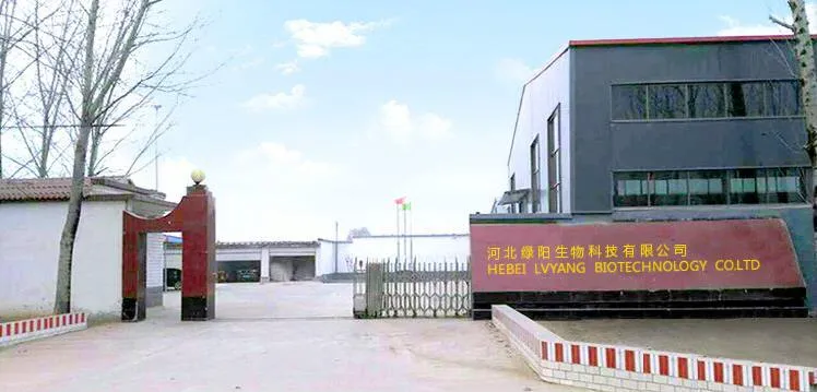 Iron Oxide CAS 1309-37-1 for Paits and Coatings