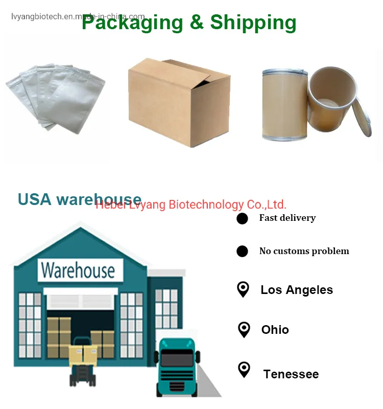 Iron Oxide Red 110 (CAS No.: 1309-37-1) for Painting Cement, Concrete, Glass, Rubber