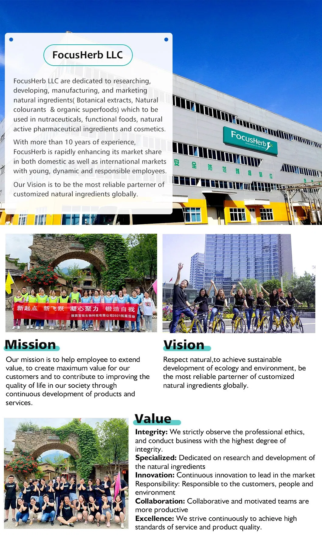 Natural Food Coloring Activated Bamboo Extract E153 Vegetable Carbon Black