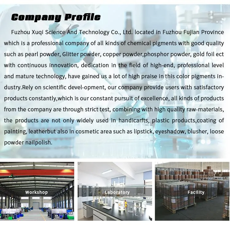 Top Quality Epoxy Chameleon Pigment Nail Pigment Car Paint